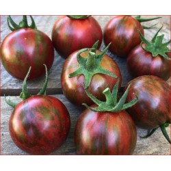 Tomates cerise - Bourdon...