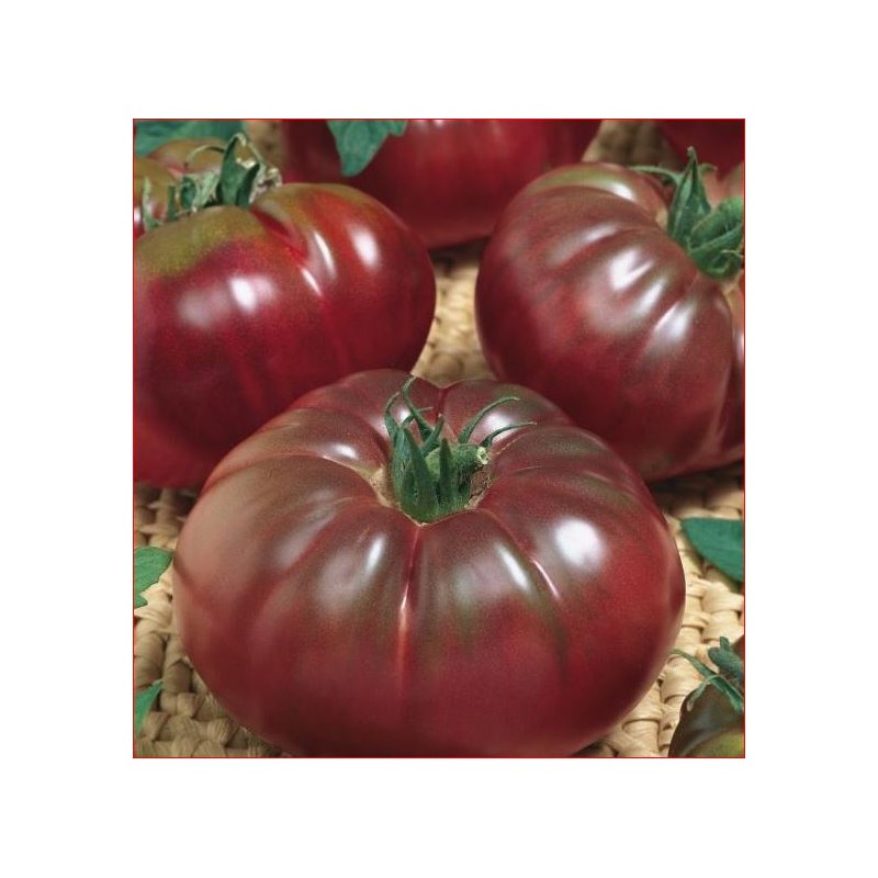 Tomate Noir de Crimée