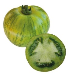 Tomates Green Zebra