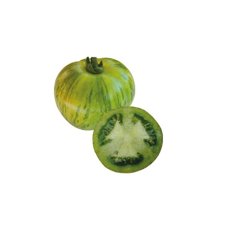 Tomates Green Zebra