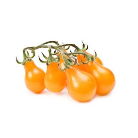 Tomates  Cerise poire jaune